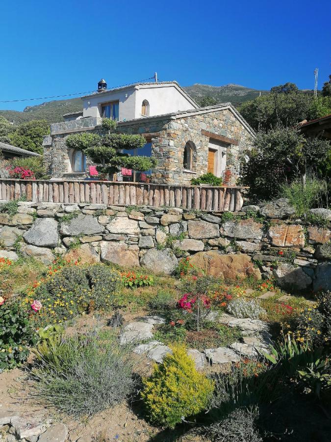 Logement De Charme Avec Piscine Privative Pino Buitenkant foto