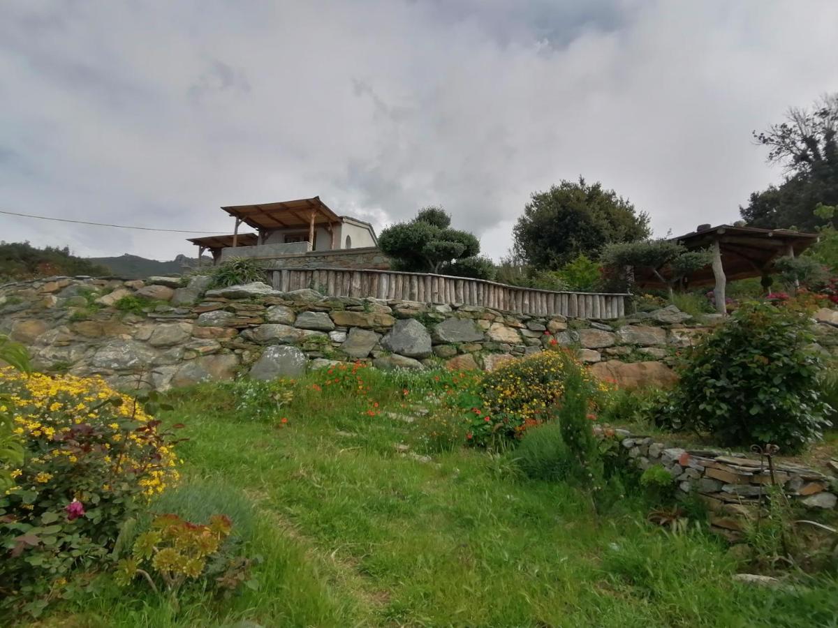 Logement De Charme Avec Piscine Privative Pino Buitenkant foto