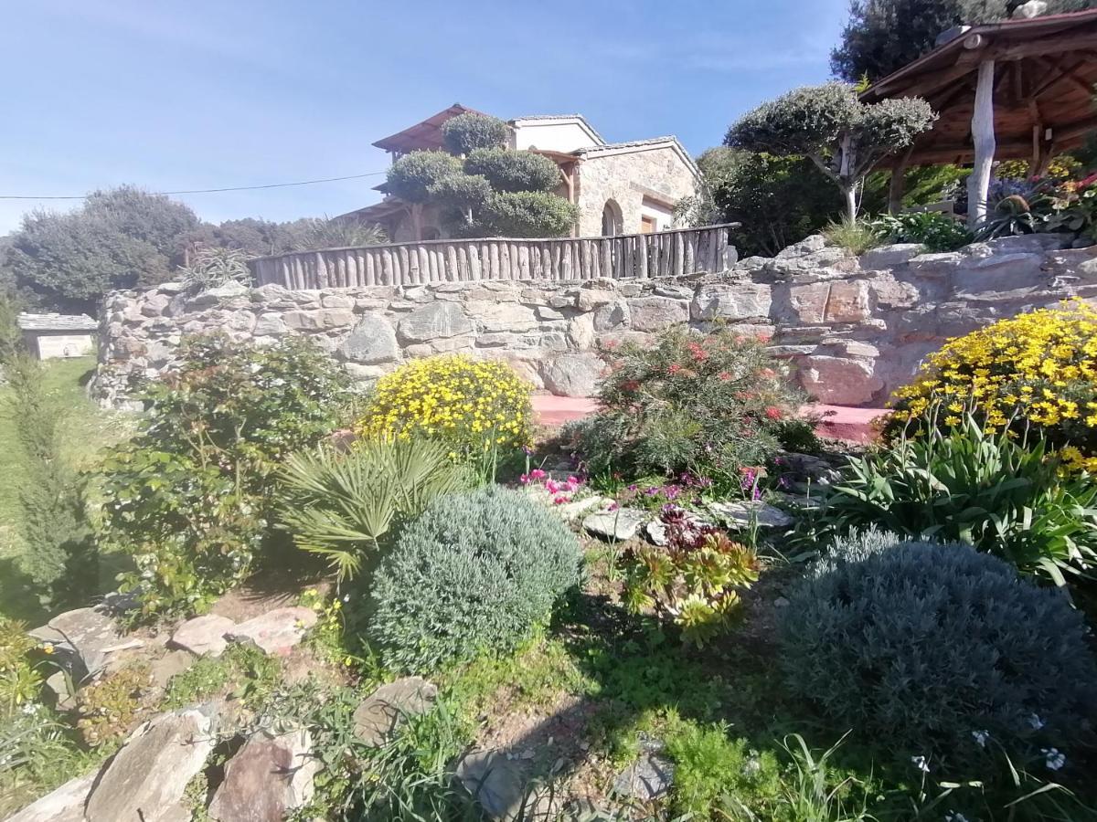 Logement De Charme Avec Piscine Privative Pino Buitenkant foto