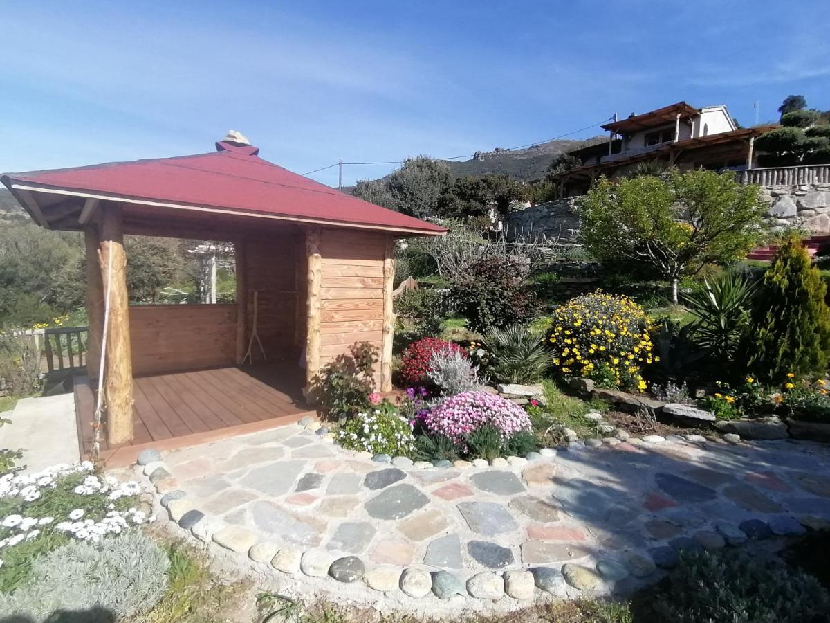 Logement De Charme Avec Piscine Privative Pino Buitenkant foto