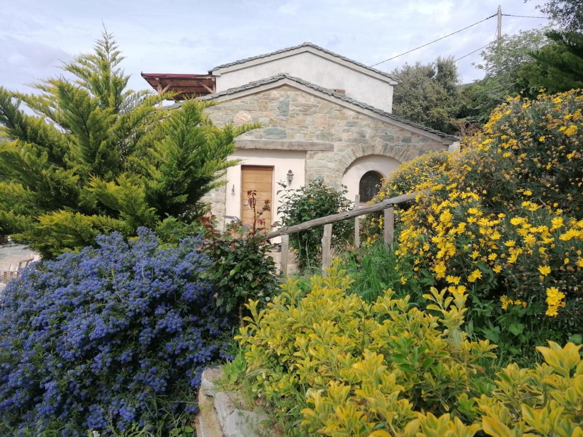 Logement De Charme Avec Piscine Privative Pino Buitenkant foto